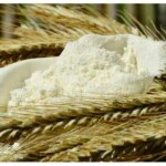 O imposto promovido pelo Governo Federal fará o trigo brasileiro ficar mais caro e, consequentemente, as farinhas e os produtos derivados, incluindo o “pãozinho nosso de cada dia”. Imagem: reprodução Sindustrigo.