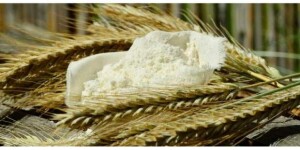 O imposto promovido pelo Governo Federal fará o trigo brasileiro ficar mais caro e, consequentemente, as farinhas e os produtos derivados, incluindo o “pãozinho nosso de cada dia”. Imagem: reprodução Sindustrigo.