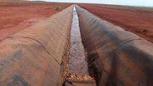Tecnologia como a disponibilizada pela Nortène, promove práticas agrícolas ambientalmente mais corretas e maximiza a produtividade. (Divulgbação)