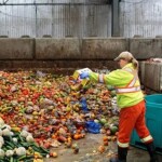Do total desperdiçado, 60% referem-se aos domicílios, 28%, aos restaurantes, bares e outros serviços do setor e 12%, ao varejo. (Foto: pesquisa Google)