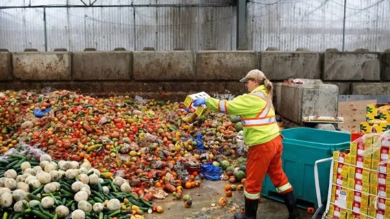 Do total desperdiçado, 60% referem-se aos domicílios, 28%, aos restaurantes, bares e outros serviços do setor e 12%, ao varejo. (Foto: pesquisa Google)