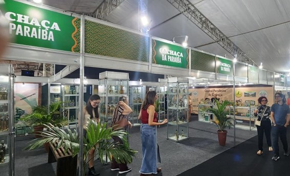 “Consumo de cerveja é 20 vezes maior do que o consumo de Cachaça no Brasil (segundo estudo da KPMG). Uma tributação menor para cerveja baseada na argumentação de seu baixo teor alcoólico apenas impulsionaria o consumo de cerveja no Brasil”, afirma Carlos Lima, presidente do IBRAC. Foto: Gov.PB