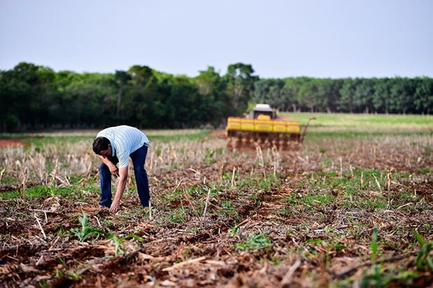emana do Agricultor acontece no Shopping Rondon, Rondonópolis-MT, de 29 de julho a 2 de agosto, e trará especialistas e produtores para debaterem os impactos e avanços do setor na cidade. Foto: Mapa/Divulgação