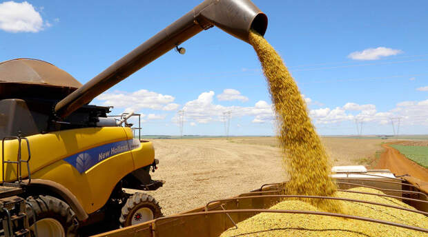 Os maiores mercados agro são, em ordem decrescente, os estados de São Paulo, Minas Gerais, Paraná, Mato Grosso, Rio Grande do Sul e Goiás. Foto - Jaelson Lucas-AEN-PR
