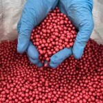 Tecnologia voltada aos insumos se consolida como um componente essencial na agricultura moderna, oferecendo benefícios significativos para produtores, propiciano melhorias no desempenho agrícola e na sustentabilidade. (Laborsan Agro