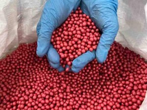 Tecnologia voltada aos insumos se consolida como um componente essencial na agricultura moderna, oferecendo benefícios significativos para produtores, propiciano melhorias no desempenho agrícola e na sustentabilidade. (Laborsan Agro