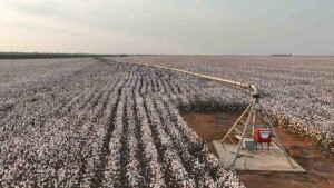 Para estar mais próximo dos cotonicultores, a Lindsay América Latina, apresenta suas mais recentes inovações, que além de melhorar a produtividade das lavouras, garantem o plantio no momento certo da janela. (Divulgação)