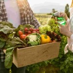 Estratégias são essenciais para manter o país na posição de líder mundial em produção agroecológica. Foto: Freepik / Divulgação Lucky Comunicação.