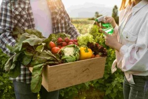 Estratégias são essenciais para manter o país na posição de líder mundial em produção agroecológica. Foto: Freepik / Divulgação Lucky Comunicação.