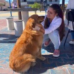 Ação gratuita contará com participação de estudantes de Medicina Veterinária da UniFG. Crédito: Divulgação