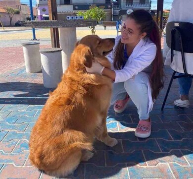 Ação gratuita contará com participação de estudantes de Medicina Veterinária da UniFG. Crédito: Divulgação