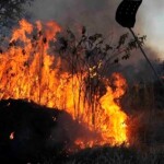 Lei pode obrigar infrator a arcar com custos de área devastada e proíbe, pelo prazo de 50 anos, a contar da data do incêndio, o uso da área para atividades agropecuárias. (Foto: Agência Brasil)