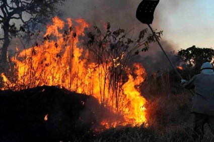 Lei pode obrigar infrator a arcar com custos de área devastada e proíbe, pelo prazo de 50 anos, a contar da data do incêndio, o uso da área para atividades agropecuárias. (Foto: Agência Brasil)
