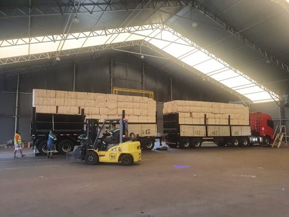Certificação fitossanitária na origem do produto é eletrônica e a vistoria ocorreu em Jundiaí (SP) na quarta-feira (2); carga seguirá de trem ao Porto de Santos. (Divulgação)