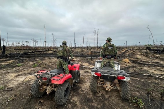 O trabalho de investigação da Polícia Federal inclui o envio de peritos especializados aos locais afetados e o uso de tecnologia avançada para identificar os pontos de origem dos incêndios - Foto: PF/Divulgação