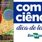 São 90 espécies de diversas fitofisionomias do Cerrado que podem ser produzidas com mais facilidade. (Divulgação). Veja o vídeo pelo pesquisador José Felipe Ribeiro: https://www.youtube.com/watch?v=LTV5zBSxyto