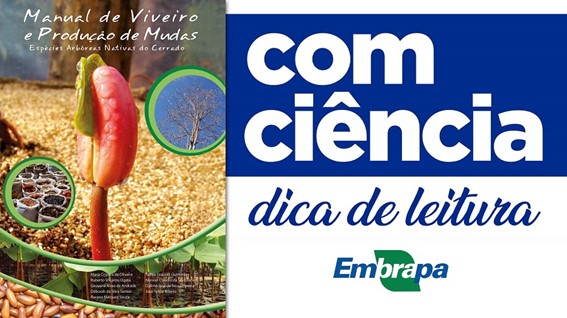 São 90 espécies de diversas fitofisionomias do Cerrado que podem ser produzidas com mais facilidade. (Divulgação). Veja o vídeo pelo pesquisador José Felipe Ribeiro: https://www.youtube.com/watch?v=LTV5zBSxyto