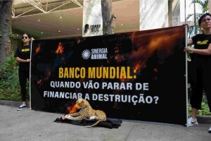 ONG Sinergia Animal entregou carta assinada por associações de 30 países e realizou protesto com onça-pintada de pelúcia com patas enfaixadas, simbolizando a devastação dos recentes incêndios no Brasil. Foto: Daniela Ferreira