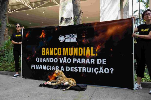 ONG Sinergia Animal entregou carta assinada por associações de 30 países e realizou protesto com onça-pintada de pelúcia com patas enfaixadas, simbolizando a devastação dos recentes incêndios no Brasil. Foto: Daniela Ferreira