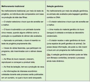 241105_ExportaçãoGenomaBovino_tabela4 cópia