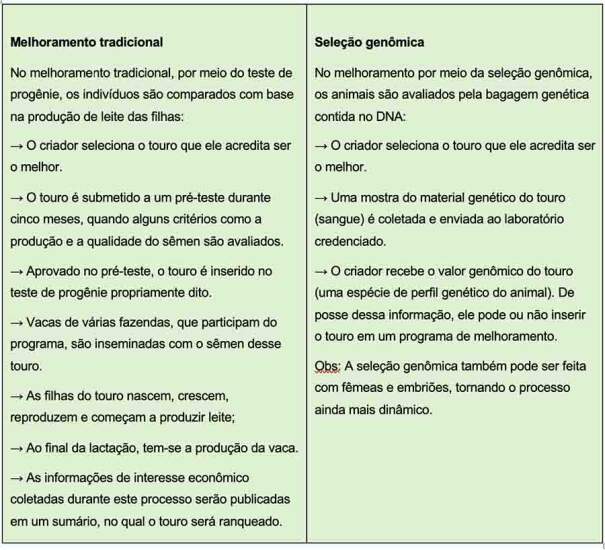 241105_ExportaçãoGenomaBovino_tabela4 cópia