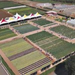 Os participantes têm acesso às novidades do setor hortícola e conhecimento técnico com foco nos assuntos mais relevantes do mercado por meio de uma plataforma digital 3D. (Divulgação - Sakata iField)