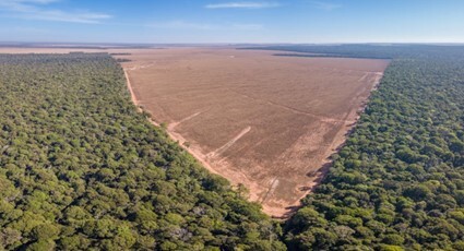 Proposta do deputado federal Nilto Tatto (PT/SP) pode redirecionar recursos estratégicos e fazer com que a economia de baixo carbono saia do papel. (Foto: desmatamento da-floresta-amazônica /Reprodução Mundo Educação).