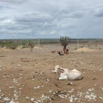 Estão na lista municípios do Alagoas, Bahia, Ceará, Minas Gerais, Pará, Paraíba, Paraná, Pernambuco, Rio Grande do Norte e Sergipe. (Reprodução / pesquisa Google)