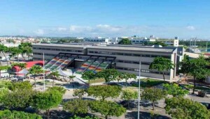 Aplicativo da LookInside prevê em 60 segundos o risco de amputações em diabéticos, reforçando a importância do diagnóstico precoce durante o Dia do Exame do Pé em Aracaju. (Foto:)Tiradentes Innovation Center /Unit)