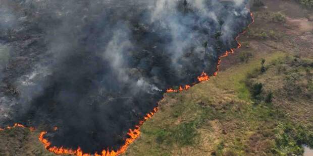 A situação se agrava com os incêndios, que causam a combustão da matéria orgânica superficial, reduzindo drasticamente a capacidade de troca de cátions (CTC), fundamental para a fertilidade do solo. (Crédito: Agência Brasil)