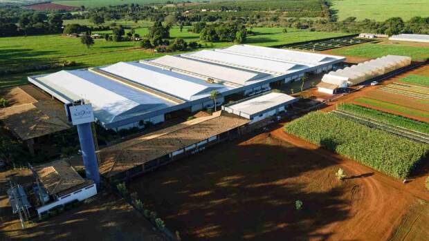 Empresa aposta em alta tecnologia, precisão e rigor técnico para atender diferentes demandas do mercado agrícola. (Divulgação Agristar)