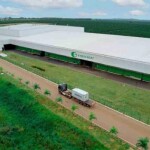 O protocolo Expocacer Control Origin (ECO) garante que os cafés produzidos atendem aos rigorosos padrões exigidos pelos mercados nacional e internacional. (Armazém Expocacer)
