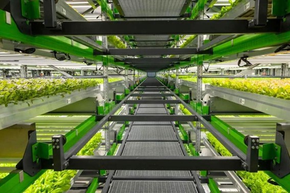 Aumento da demanda global por alimentos é desafio para agricultura, que precisará encontrar alternativas para aumentar produção. (Foto: Bowery Farms / Divulgação)