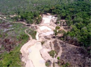 Na próxima quarta-feira, dia 11, o Conselho Deliberativo da SUDENE decidirá o que pode ser um valor inédito para iniciativas de recuperação ambiental no Nordeste. Operação Amazônia Viva fecha. (Foto: ASCOM/SEMAS. Ag. Pará.)