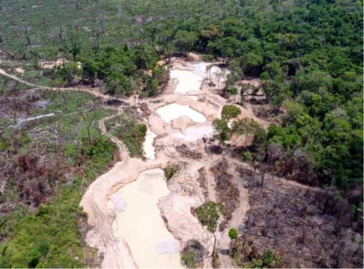 Na próxima quarta-feira, dia 11, o Conselho Deliberativo da SUDENE decidirá o que pode ser um valor inédito para iniciativas de recuperação ambiental no Nordeste. Operação Amazônia Viva fecha. (Foto: ASCOM/SEMAS. Ag. Pará.)