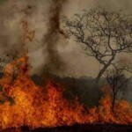 Segundo os pesquisadores, para cada aumento de 0,1°C na temperatura média global do ar, ocorreram mais 360 desastres climáticos no Brasil. No oceano, para cada 0,1°C na temperatura média global da superfície oceânica, foram registrados mais 584 eventos. (Crédito: Marcelo Camargo/Agência Brasil)
