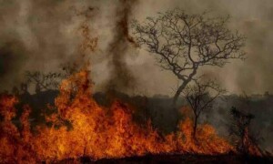 Segundo os pesquisadores, para cada aumento de 0,1°C na temperatura média global do ar, ocorreram mais 360 desastres climáticos no Brasil. No oceano, para cada 0,1°C na temperatura média global da superfície oceânica, foram registrados mais 584 eventos. (Crédito: Marcelo Camargo/Agência Brasil)