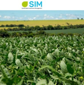 Opea foi a emissora do CRA, projeto que incentiva a produção sustentável de soja no Cerrado brasileiro. (Reprodução /Sustainable Investment Management)