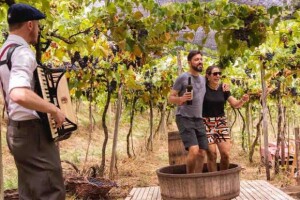 Experiência matutina inclui pisa das uvas, brunch no vinhedo e degustação de vinhos e espumantes, tudo na companhia da Família Cristofoli. (Divulgação)