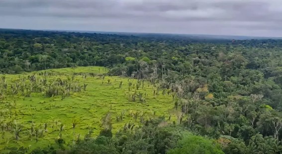 Lei que institui o Sistema Brasileiro de Comércio de Emissões de Gases de Efeito Estufa (SBCE) foi sancionada. (Foto: Divulgação/PF)