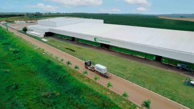 O protocolo ECO garante que os cafés produzidos atendem aos rigorosos padrões exigidos pelos mercados nacional e internacional. (Divulgção)