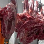 Focada em conectar o agronegócio nacional aos mercados mais exigentes do mundo, a multinacional trabalha com transparência em todas as suas negociações, gerando oportunidades aos pecuaristas nacionais e agroindústrias do setor. (Divulgação)