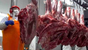 Focada em conectar o agronegócio nacional aos mercados mais exigentes do mundo, a multinacional trabalha com transparência em todas as suas negociações, gerando oportunidades aos pecuaristas nacionais e agroindústrias do setor. (Divulgação)