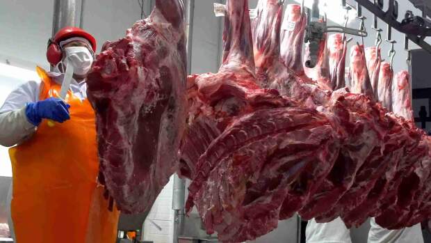 Focada em conectar o agronegócio nacional aos mercados mais exigentes do mundo, a multinacional trabalha com transparência em todas as suas negociações, gerando oportunidades aos pecuaristas nacionais e agroindústrias do setor. (Divulgação)