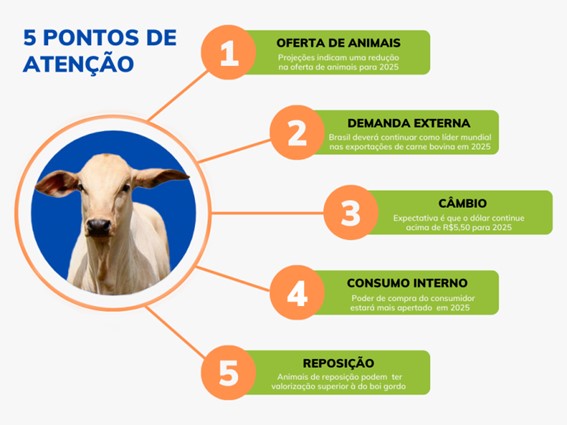 Cinco pontos de atenção para o mercado pecuário em 2025 | Elaboração: Notícias Agrícolas