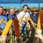 Com uma produção agrícola em franco crescimento, a região pode fazer com que a safra goiana ultrapasse 50 milhões de toneladas de grãos. Mas falta de energia elétrica representa o maior desafio. (Foto: Secom/GO)