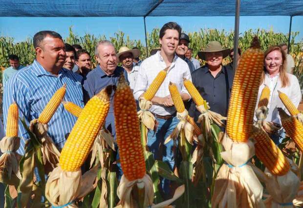 Com uma produção agrícola em franco crescimento, a região pode fazer com que a safra goiana ultrapasse 50 milhões de toneladas de grãos. Mas falta de energia elétrica representa o maior desafio. (Foto: Secom/GO)
