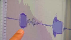 A criação desse grande e crescente banco de dados de fala pode ser utilizado para pesquisas, incluindo o uso para treinar algoritmos de inteligência artificial (IA). (Divulgação)