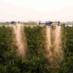 Com foco em tecnologias como monitoramento por drones e pulverização de precisão, a empresa Gohobby impulsiona a modernização do agronegócio e promove capacitação para produtores brasileiros. (Divulgação)