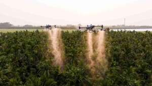 Com foco em tecnologias como monitoramento por drones e pulverização de precisão, a empresa Gohobby impulsiona a modernização do agronegócio e promove capacitação para produtores brasileiros. (Divulgação)